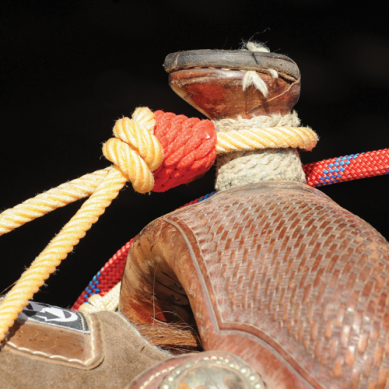 Horn Knots by Rowdy Rowels