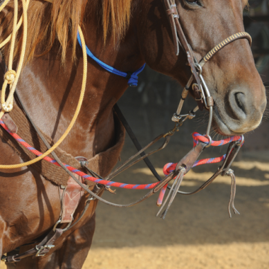 Calf Roping Premium Jerkline