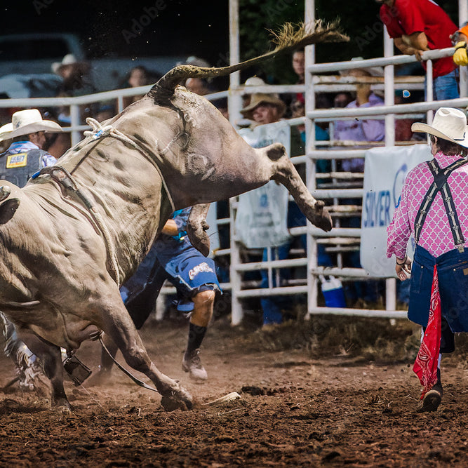 Professional Bull Riding: An Adrenaline-Packed Adventure