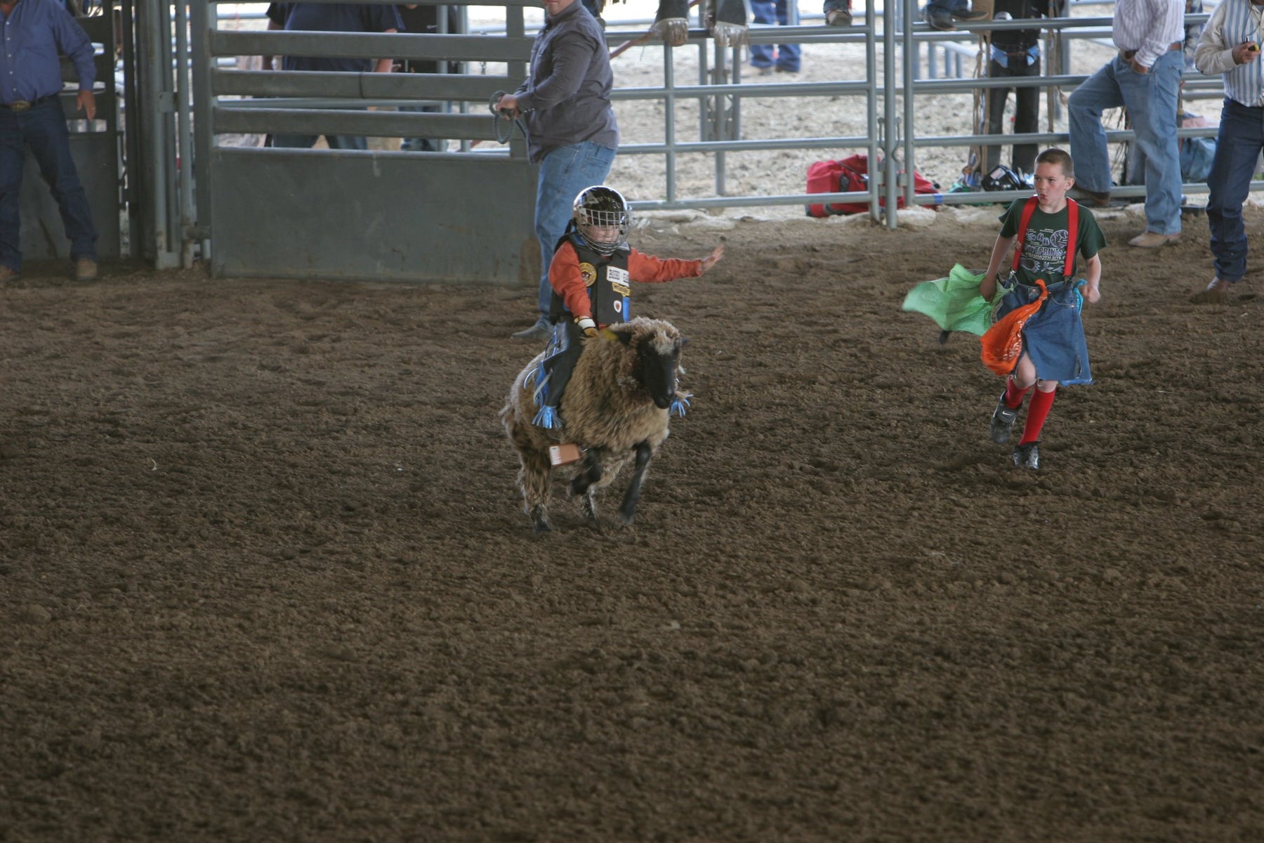 Mutton Bustin: A Growing Sport for the Youth