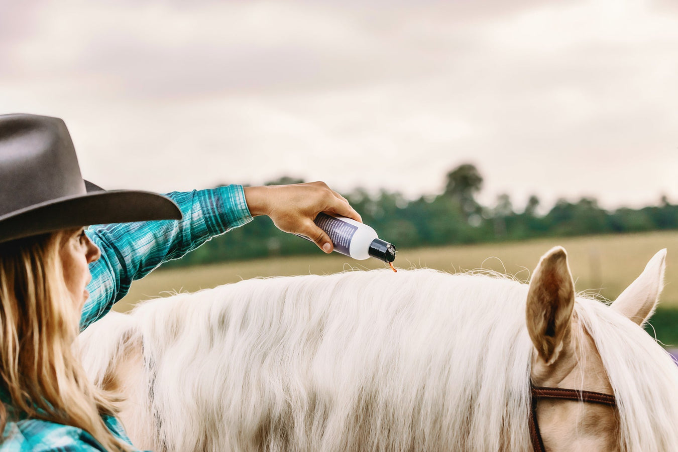 Horse Care Essentials | Wound Care, Shampoo & Fly Spray | Rowdy Rowels