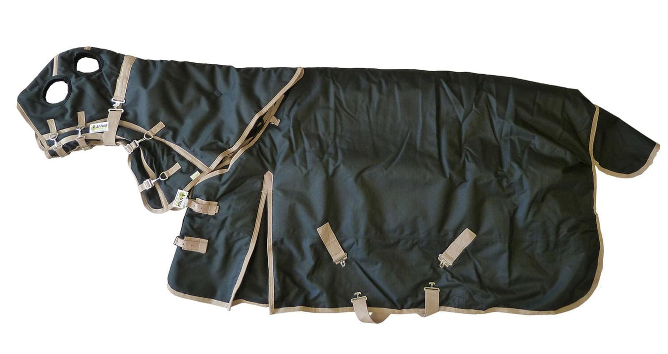 Turnout Horse Blankets | Rowdy Rowels