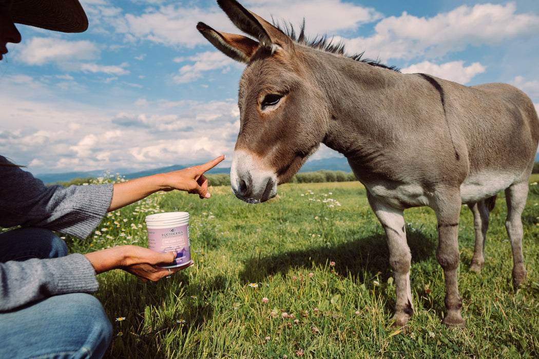 Zinc Paste for Scratches