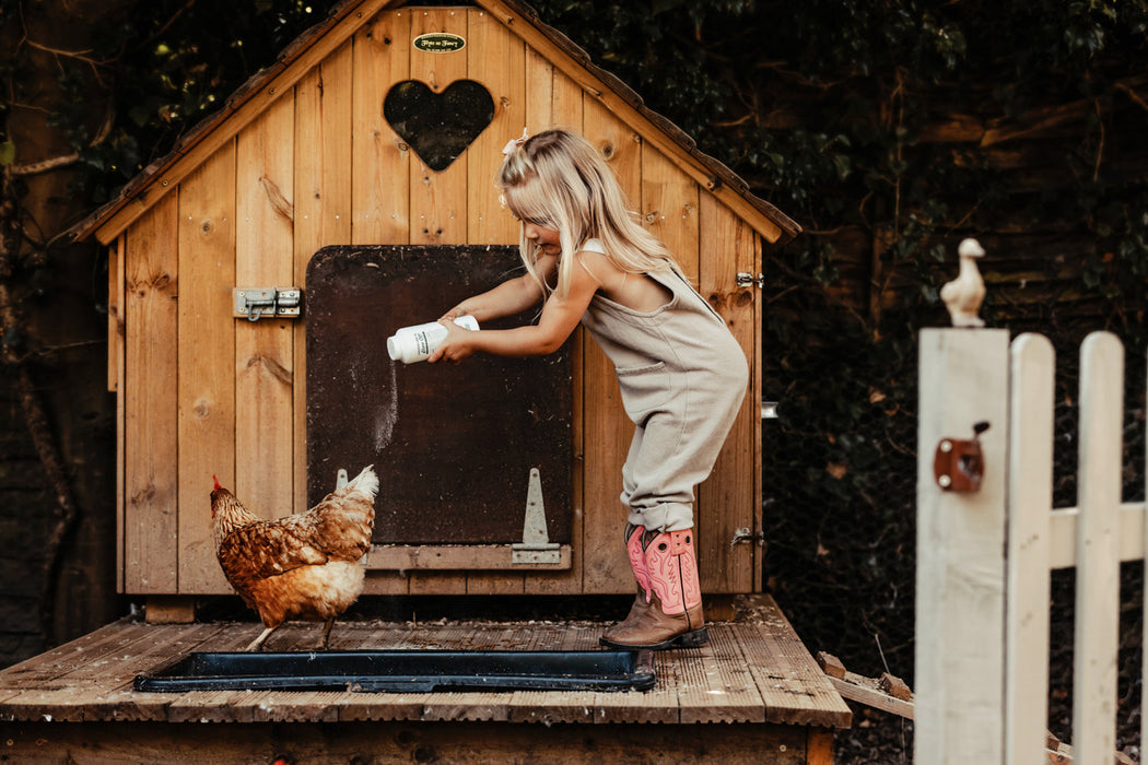 Show Off Honestly Herbal Dry Shampoo