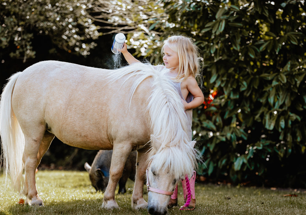 Daily Defense Dry Shampoo
