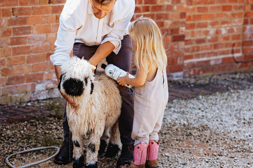 Show Off That Shine Shampoo