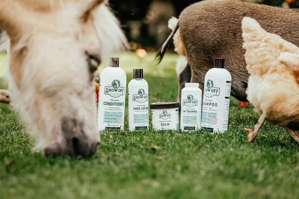 Show Off Honestly Herbal Dry Shampoo