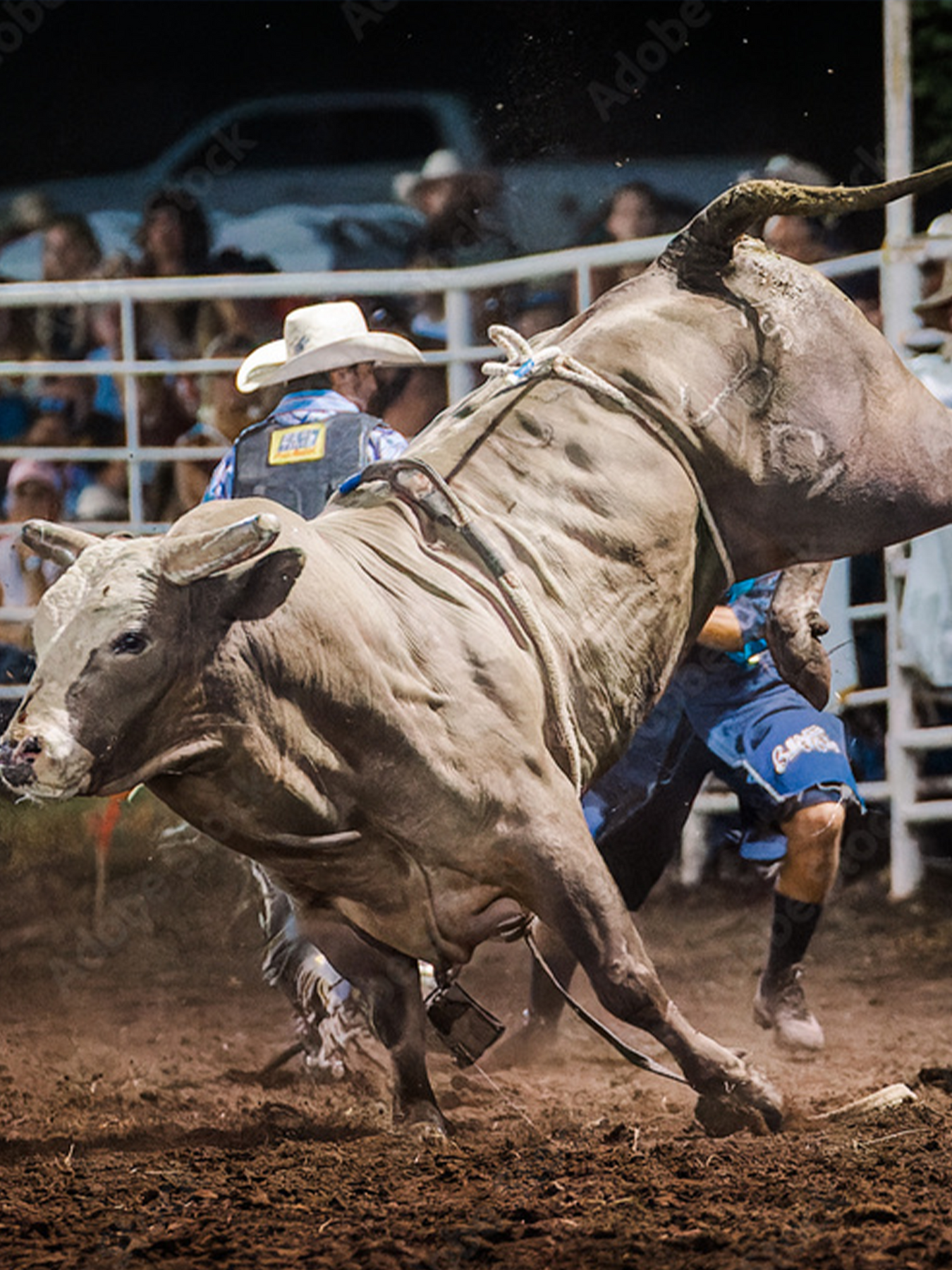 Rowdy Rowels | Bull Riding Gear | Roping Supplies