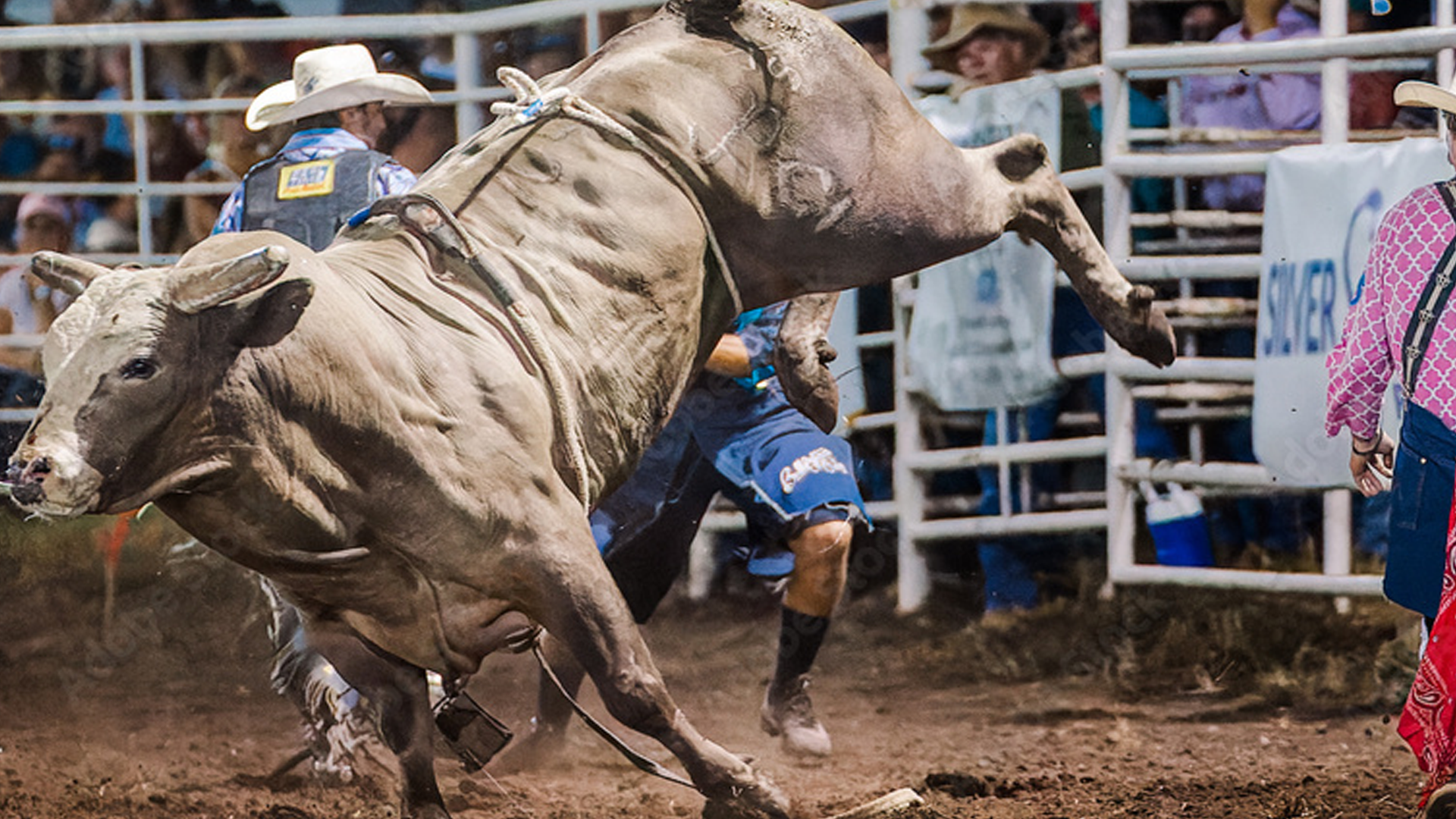 Premium Bull Riding Gear for Youth & Pros | Rowdy Rowels Official Site