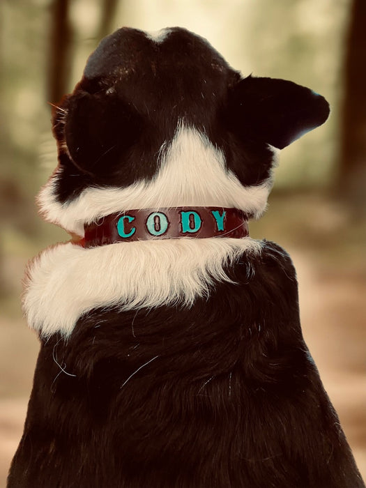 Custom Leather Dog Collars