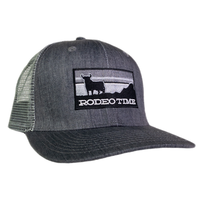 Sunset Inverse Grey Denim/Silver Meshback